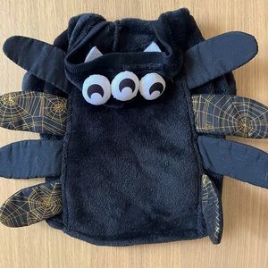 Spider Costume for Pets